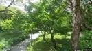 Lägenhet att hyra, Söderort, &lt;span class=&quot;blurred street&quot; onclick=&quot;ProcessAdRequest(5336338)&quot;&gt;&lt;span class=&quot;hint&quot;&gt;Se gatunamn&lt;/span&gt;[xxxxxxxxxx]&lt;/span&gt;
