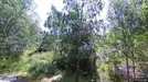 Lägenhet att hyra, Askim-Frölunda-Högsbo, Kunga-Amandas Gränd<span class="blurred street-number" onclick="ProcessAdRequest(5506593)"><span class="hint">Se väg-nr</span>[xxxxxxxx]</span>