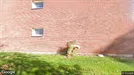 Lägenhet att hyra, Sollentuna, Bygatan<span class="blurred street-number" onclick="ProcessAdRequest(5807788)"><span class="hint">Se väg-nummer</span>[xxxxxxxxxxxx]</span><span class="hglt"> (endast byte)</span>