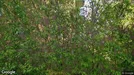 Lägenhet att hyra, Västerort, Adolfsbergsvägen<span class="blurred street-number" onclick="ProcessAdRequest(5870141)"><span class="hint">Se väg-nr</span>[xxxxxxxx]</span>