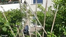 Lägenhet att hyra, Södermalm, Åsögatan<span class="blurred street-number" onclick="ProcessAdRequest(6090460)"><span class="hint">Se väg-nr</span>[xxxxxxxx]</span><span class="hglt"> (endast byte)</span>