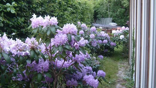 Lägenheter i Mölndal - foto 1