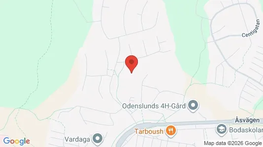 Lägenheter att hyra i Borås - kort over placeringen