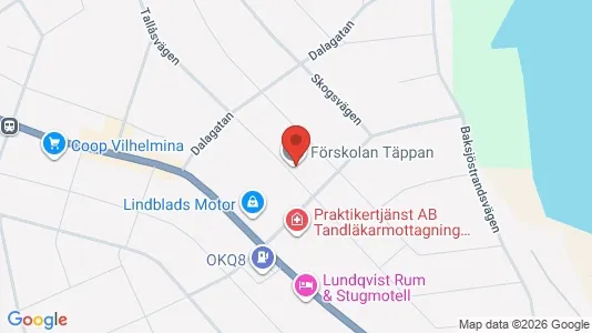 Lägenheter att hyra i Vilhelmina - Bild från Google Street View