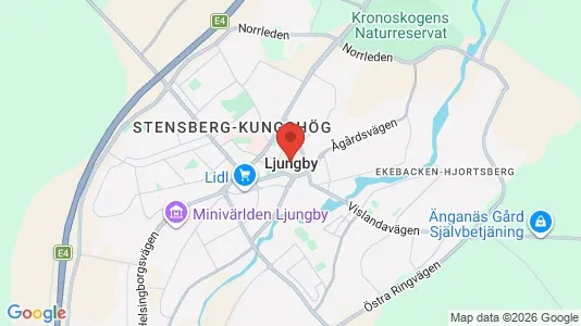 Lägenheter att hyra i Ljungby - Bild från Google Street View