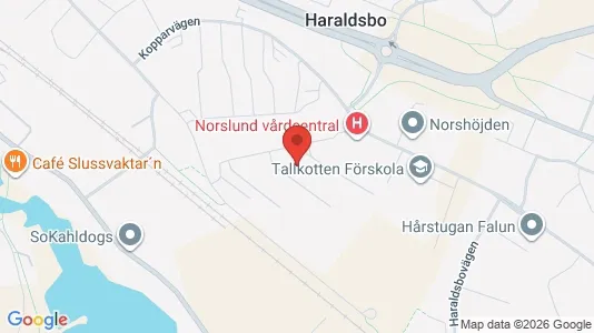 Lägenheter att hyra i Falun - kort over placeringen