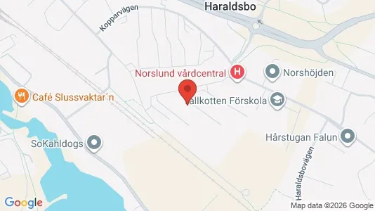 Lägenheter att hyra i Falun - kort over placeringen