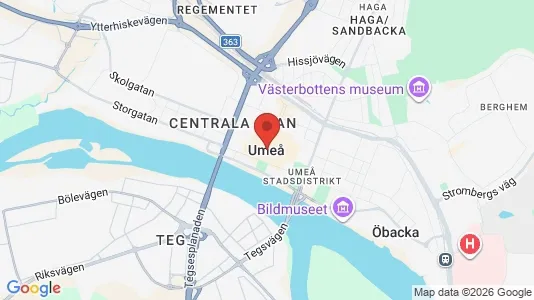 Hus att hyra i Umeå - Bild från Google Street View