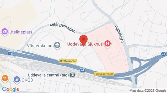 Lägenheter att hyra i Uddevalla - kort over placeringen