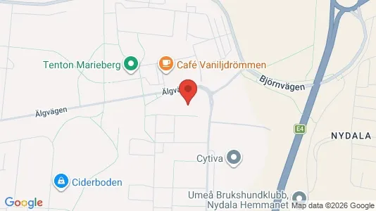 Lägenheter att hyra i Umeå - kort over placeringen