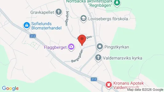 Lägenheter att hyra i Valdemarsvik - kort over placeringen