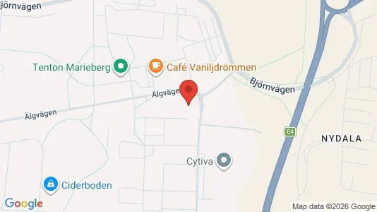 Lägenheter att hyra i Umeå - kort over placeringen