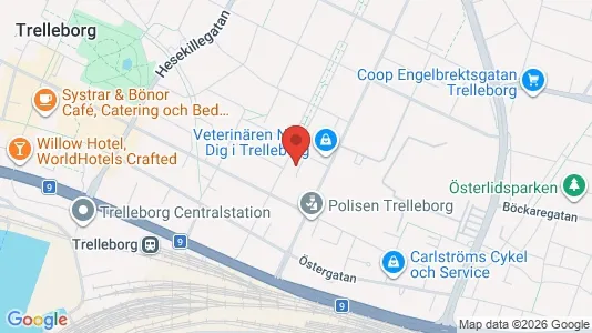 Lägenheter att hyra i Trelleborg - kort over placeringen