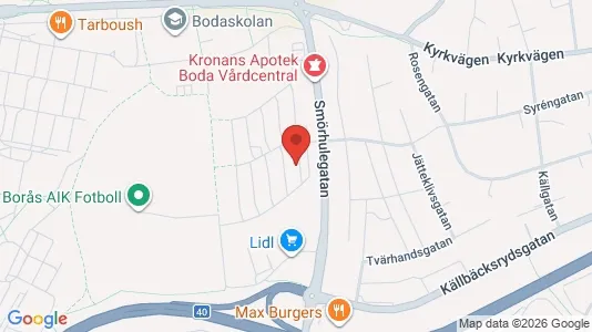 Lägenheter att hyra i Borås - kort over placeringen