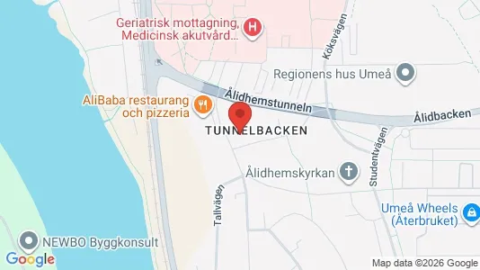 Lägenheter att hyra i Umeå - kort over placeringen