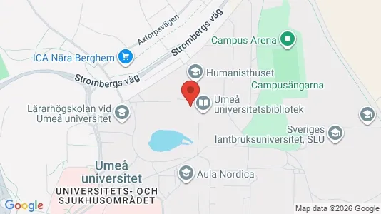Lägenheter att hyra i Umeå - Bild från Google Street View