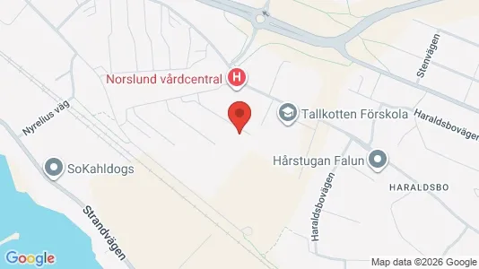 Lägenheter att hyra i Falun - kort over placeringen