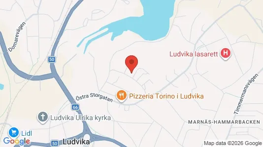 Lägenheter att hyra i Ludvika - kort over placeringen