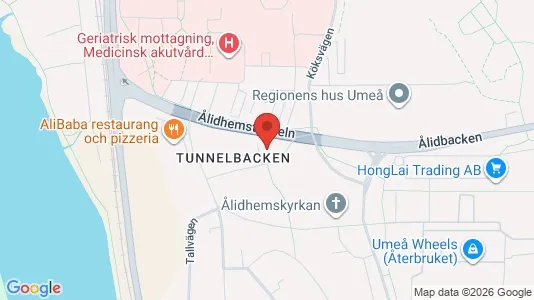 Lägenheter att hyra i Umeå - kort over placeringen