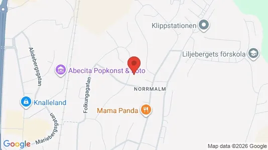 Lägenheter att hyra i Borås - kort over placeringen