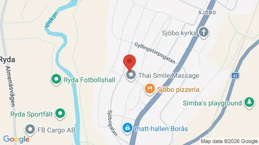 Lägenheter att hyra i Borås - kort over placeringen