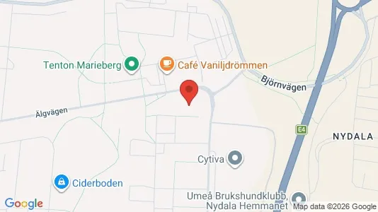 Lägenheter att hyra i Umeå - kort over placeringen