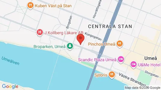 Lägenheter att hyra i Umeå - kort over placeringen