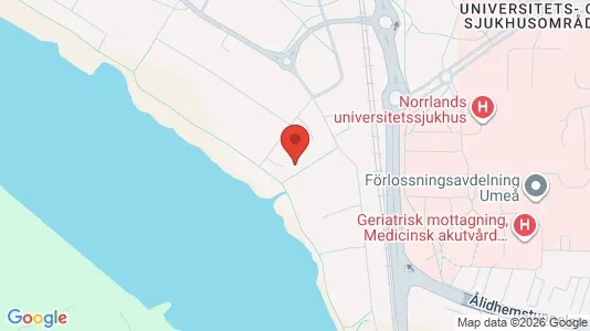 Lägenheter att hyra i Umeå - kort over placeringen