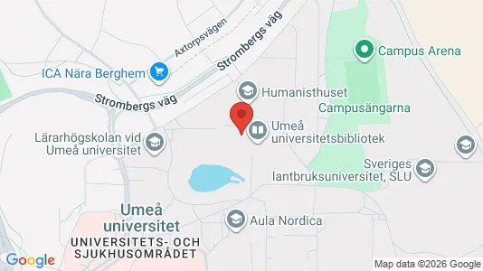 Lägenheter att hyra i Umeå - kort over placeringen