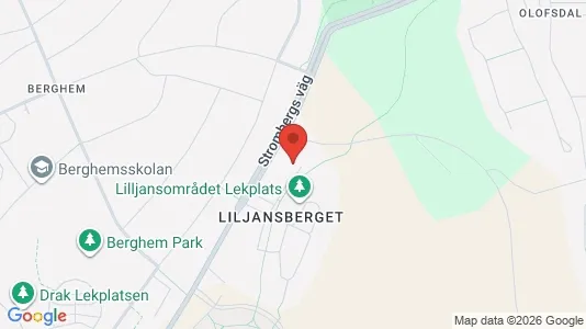Lägenheter att hyra i Umeå - kort over placeringen