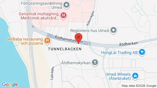 Lägenheter att hyra i Umeå - kort over placeringen