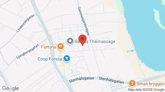 Lägenheter att hyra i Borlänge - kort over placeringen