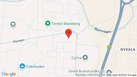 Lägenheter att hyra i Umeå - kort over placeringen