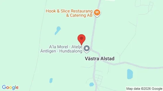 Lägenheter att hyra i Trelleborg - kort over placeringen