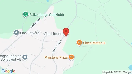 Lägenheter att hyra i Falkenberg - kort over placeringen
