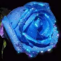 Rickard-The-Gamer söker lägenhet eller hus att hyra i Överkalix eller Kalix